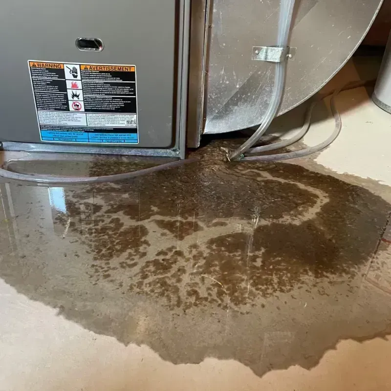 Appliance Leak Cleanup in Athens, MI